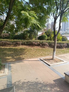 城市公园中的宁静休憩角落