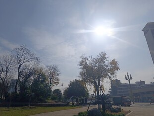 城市户外阳光下的景象