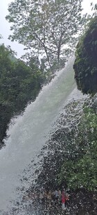 乡村泥泞小路绿意环绕