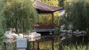 中式静谧水景园林一角