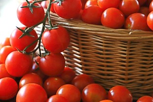 筐中鲜美的红樱桃番茄