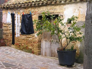 古朴小院中的绿植与衣物