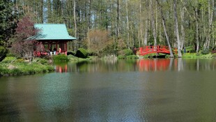 湖畔木屋小船静谧风光