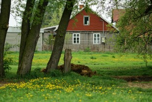 乡村红屋 绿野繁花之景