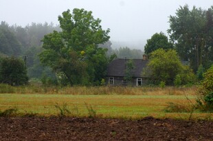 雨中乡村田野景色