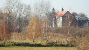 乡村田野边的红顶小屋