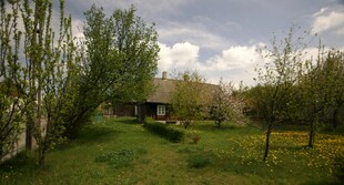 乡村绿野间的静谧小屋