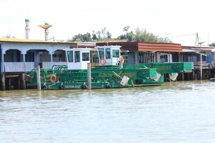 水上彩色船只停靠景象