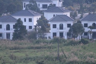 乡村别墅群 田园风光美