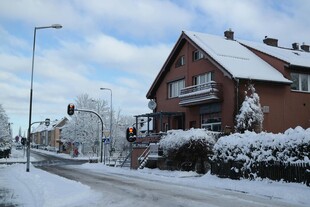 冬日雪覆的温馨住宅街道