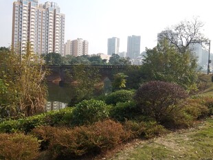 城市公园内的绿植与建筑景观