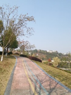 春日彩色步道风景
