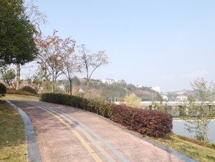 湖畔蜿蜒步道风景