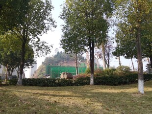 户外绿意盎然的休闲场景