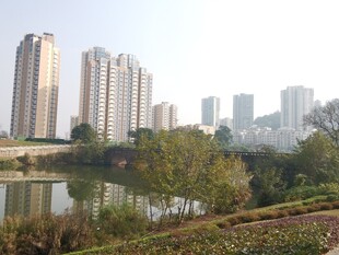 湖畔高楼林立的城市风光