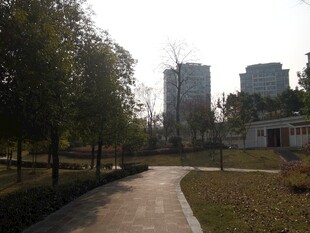 城市公园中的宁静小径