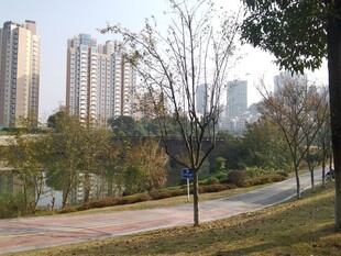 城市河畔公园风景