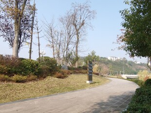 公园幽静小路风景