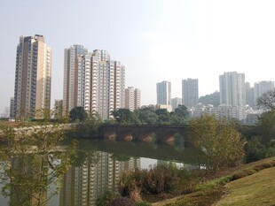 湖畔高楼林立的城市风光