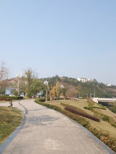 郊外蜿蜒小路的自然景致