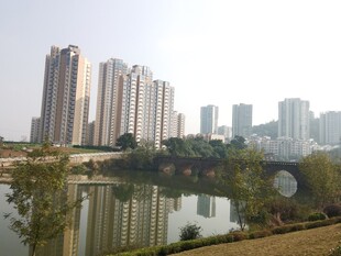 湖畔高楼林立的城市风光