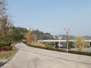 秋日公园蜿蜒小路美景