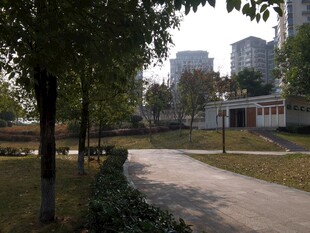 城市公园中的宁静小路