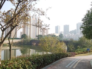 城市河畔步道风景