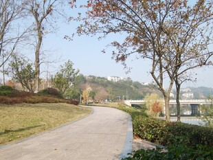 蜿蜒小路旁的自然景致