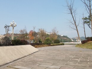 秋日公园空旷石板路景色