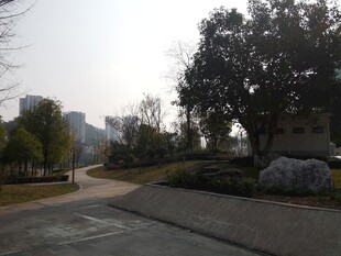 城市公园中的宁静小路