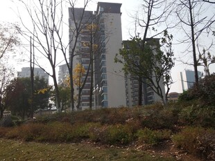 城市中的高楼与周边植被