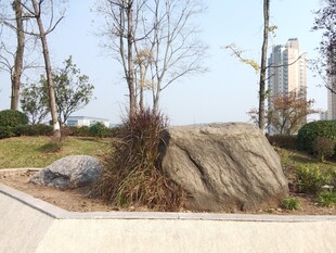 户外景观中的大型岩石