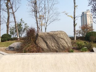 城市景观中的巨石与绿植
