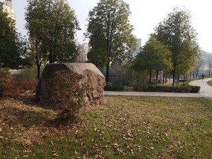 户外草地上的石砌景观