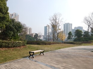 城市公园中的休闲长椅