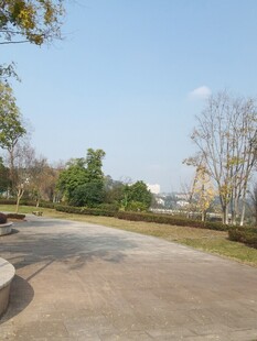户外空旷的休闲道路场景