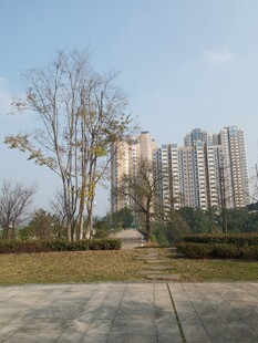 城郊开阔地旁的高层住宅