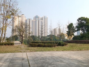 城市住宅区的开阔景观