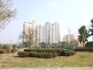 城市住宅区旁的绿地景观