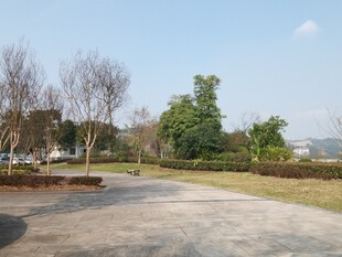 户外开阔的自然休闲场地