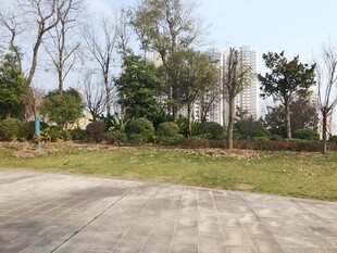 户外开阔的绿化休闲场地