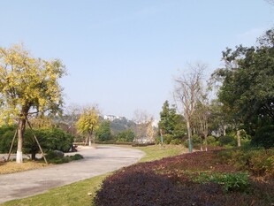 秋日公园林间小道美景