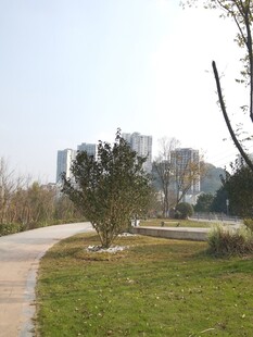 城市中的宁静户外小径