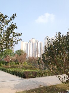 城市中的自然景观小径