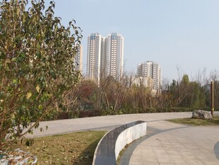 城市公园中的宁静步道