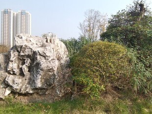 户外巨石与绿植景观