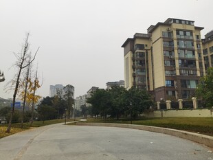 小区道路旁的多层住宅楼