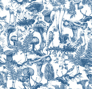 蓝白海洋生物图案纹理