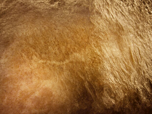 金色毛绒质感背景纹理